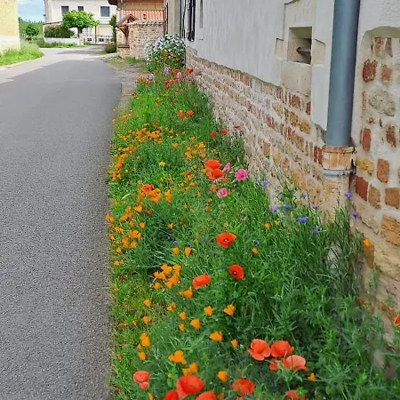 Bed & Breakfast D Hotes Near Macon With Secure Parking Grieges