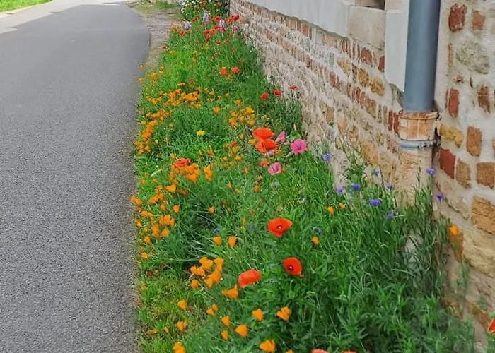 Bed & Breakfast D Hotes Proche Macon Grieges